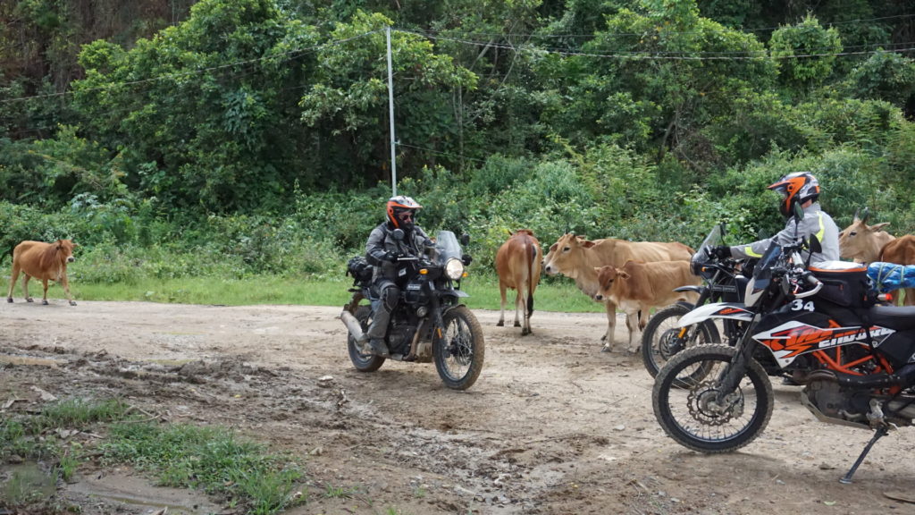 Adventure motorbike riders in Northern Vietnam