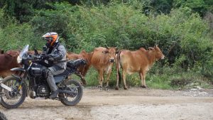 motorcycle vietnam motorbike bike tour