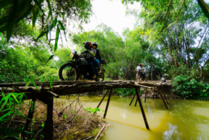 vietnamese wilderness