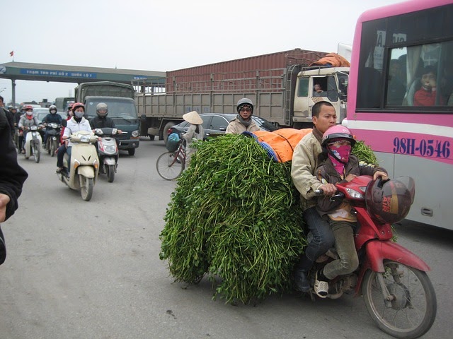 transport options in Vietnam